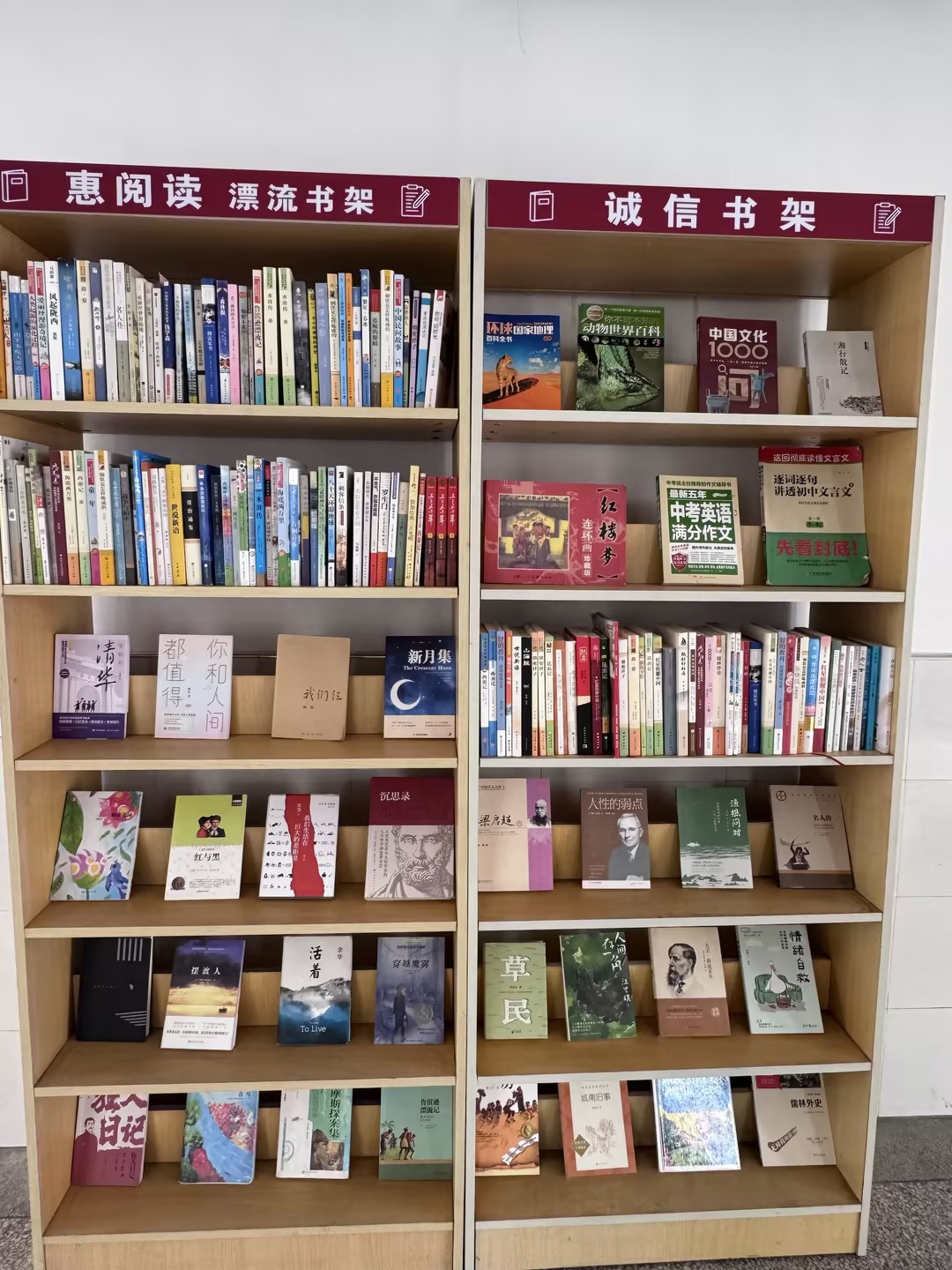图2.jpg